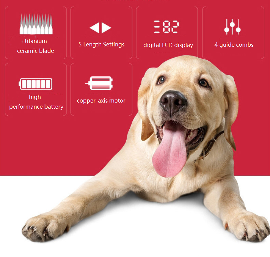 C75 Akumulátorový strojček na strihanie zvierat